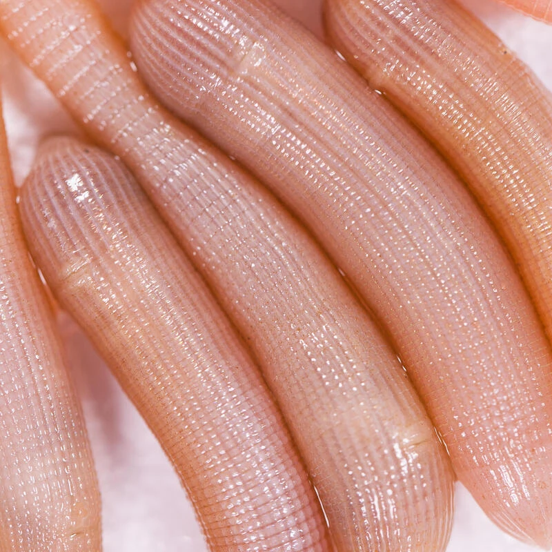 No Brand Appâts Vivants De Pêche En Mer - Vers Bibis Grande Taille X5 1 No Brand Appâts Vivants De Pêche En Mer - Vers Bibis Grande Taille X5