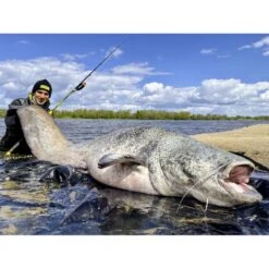 Canne Silure Black Cat Perfect Passion XH-S (455g - 2m80 - Max 350g - 2 - 140cm) 7 Canne Silure Black Cat Perfect Passion XH-S (455g - 2m80 - Max 350g - 2 - 140cm) -Magasin De Matériel De Pêche canne silure black cat perfect passion xh s 455g 2m80 max 350g 2 140cm 3