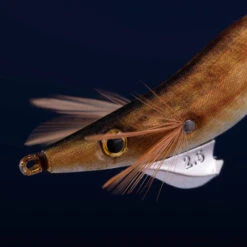 Turlutte Coulante Shallow EBIKA 2.5/105 Doré Chinchard Pêche Seiches/calamars -Magasin De Matériel De Pêche turlutte coulante shallow ebika 25105 dore chinchard peche seichescalamars 2